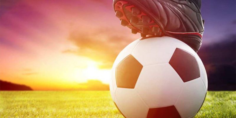 Kèo Chấp Đồng Nửa Là Sao? Good88 Lý Giải Chuẩn Xác 2 Hướng dẫn cách tính tiền khi đặt cược vào cửa dưới